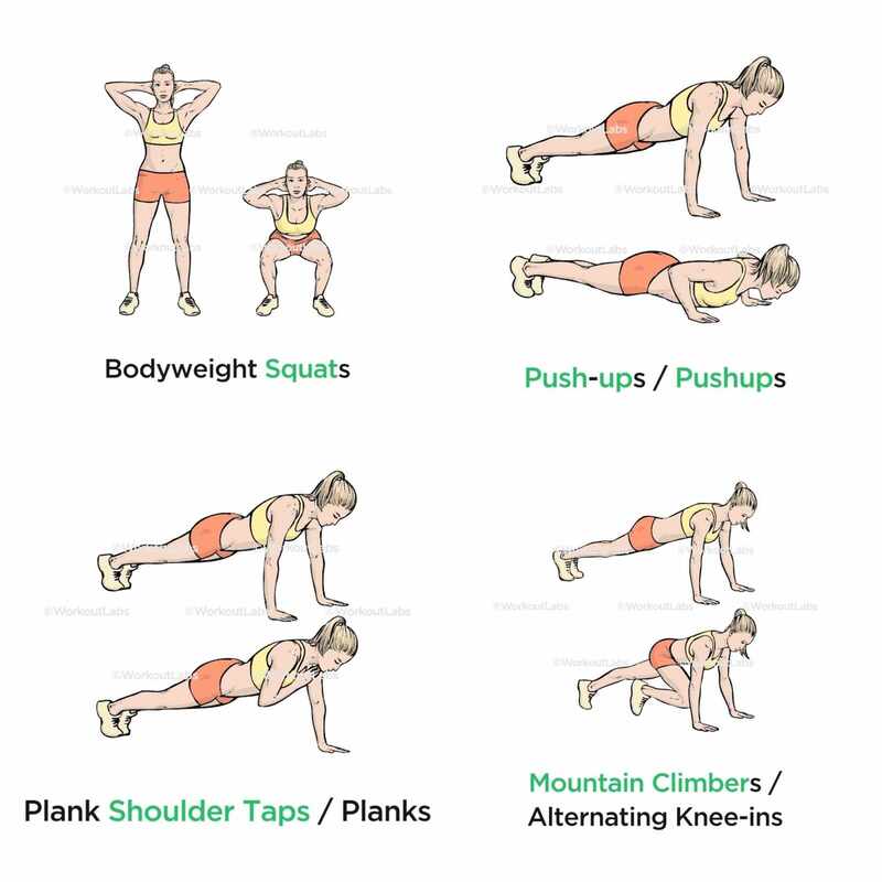 Push-ups / Pushups – WorkoutLabs Exercise Guide